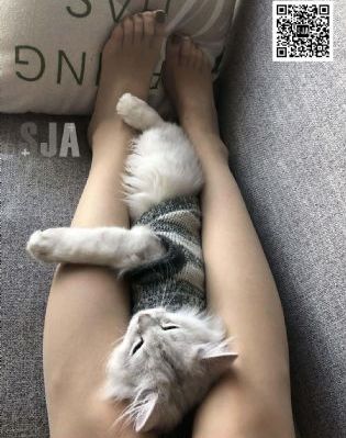 一个好妈妈4中字头强华驿_720免费观看超清